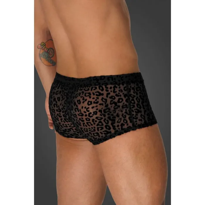 Noir Vibrators Leopard Flock Short Shorts