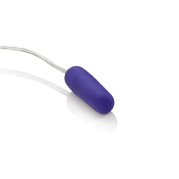 Whisper Micro Bullet Purple Seductucom Vibrators