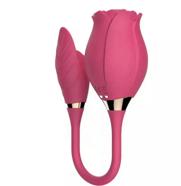 Addicted pleasures Female Sex Toys Sucking rose vibrator with an attach egg
