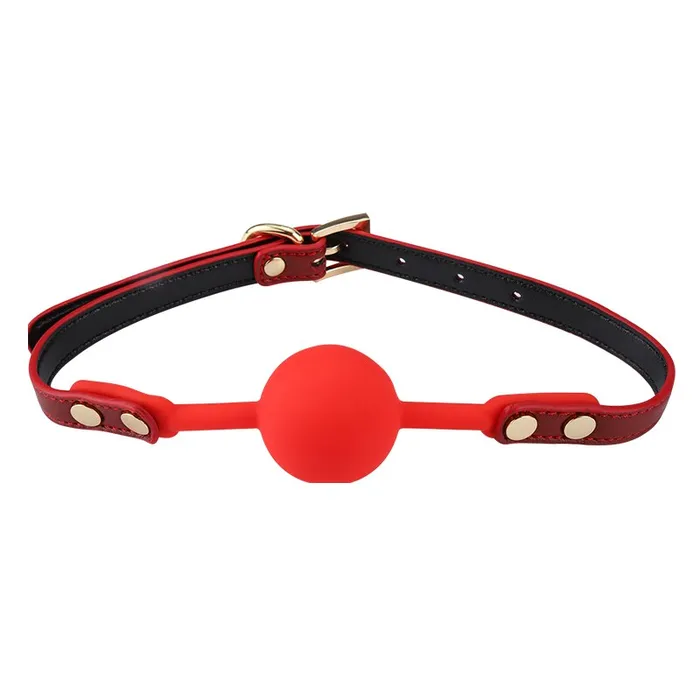 RYSC Couples RY BDSM Luxury Fetish Restraint Bondage Kit 6 Pcs Red with Bag
